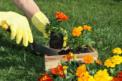 Professional team clearing garden debris