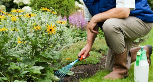 Community members gardening together in Parsons Green